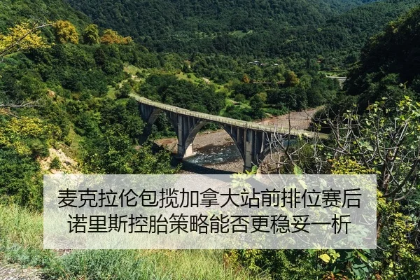 mai-ke-la-lun-bao-lan-jia-na-da-zhan-qian-pai-wei-sai-hou-nuo-li-si-kong-tai-ce-lve-neng-fou-geng-wen-tuo-yi-xi-2-313.jpg